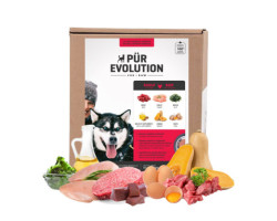 Pür Evolution Nourriture crue pour chiens, formule boe…