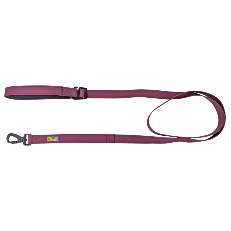 Silicone dog leash, Wild rose…