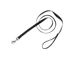 Nylon leash for dogs