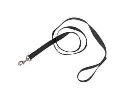 Nylon leash for dogs