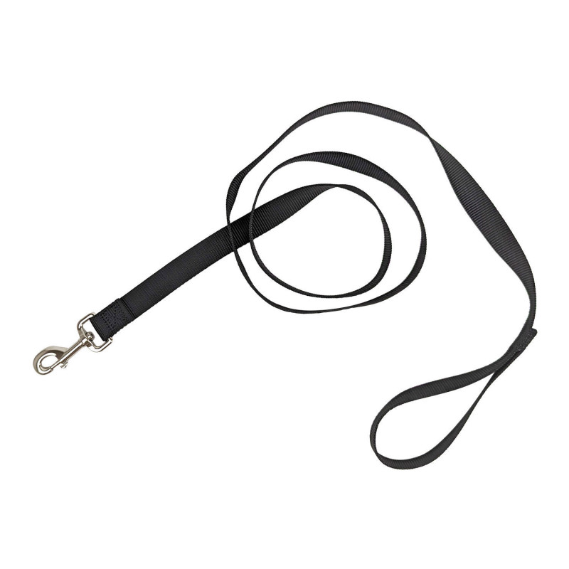 Nylon leash for dogs