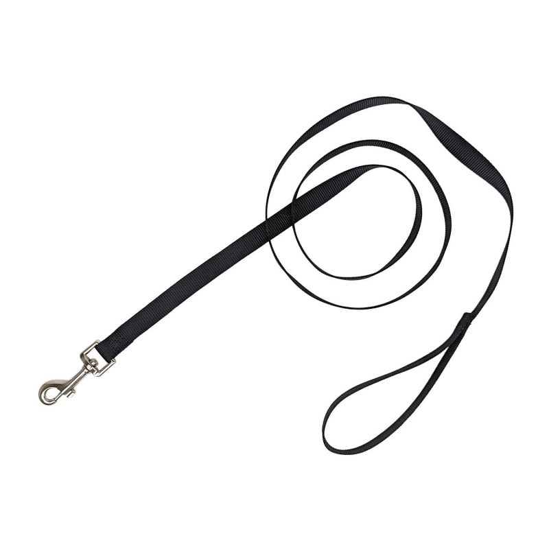 Nylon leash for dogs