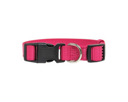 Nylon collar for dogs