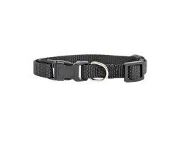 Nylon collar for dogs