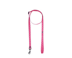 Twist leash for dogs