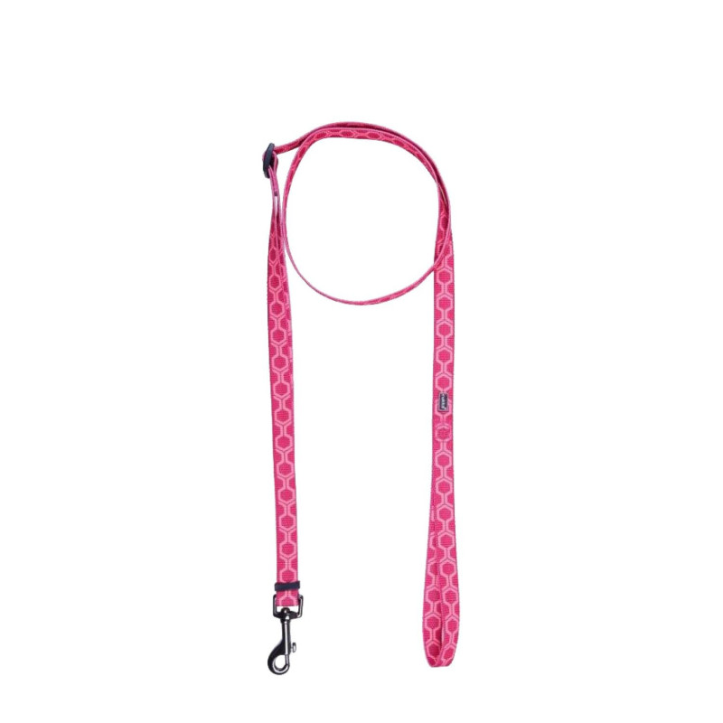 Twist leash for dogs