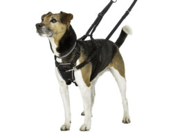 No Pull harness for dogs