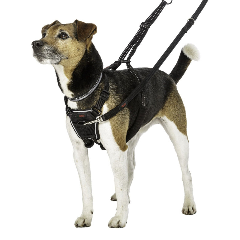 No Pull harness for dogs