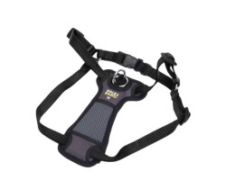 Padded harness for dogs