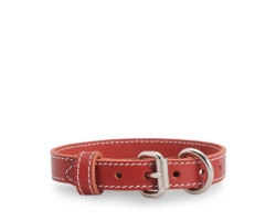 Red stitched leather collar