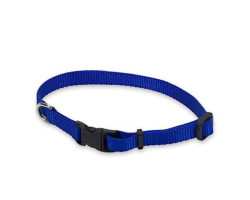 Blue nylon collar