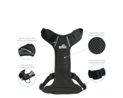 Travel harness for dogs