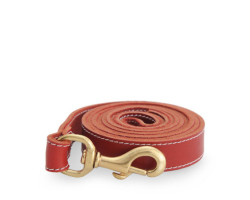 Red stitched leather leash