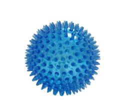 Ball with squeaker for dogs