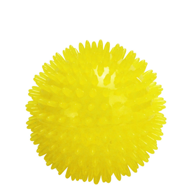 Hedgehog ball for dogs