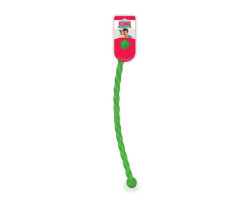 Safestix stick toy for dogs