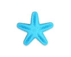 Star dental toy