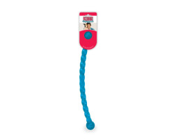 Safestix stick toy for dogs