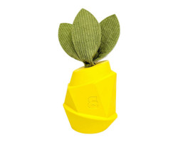 Pineapple scented toy for dogs