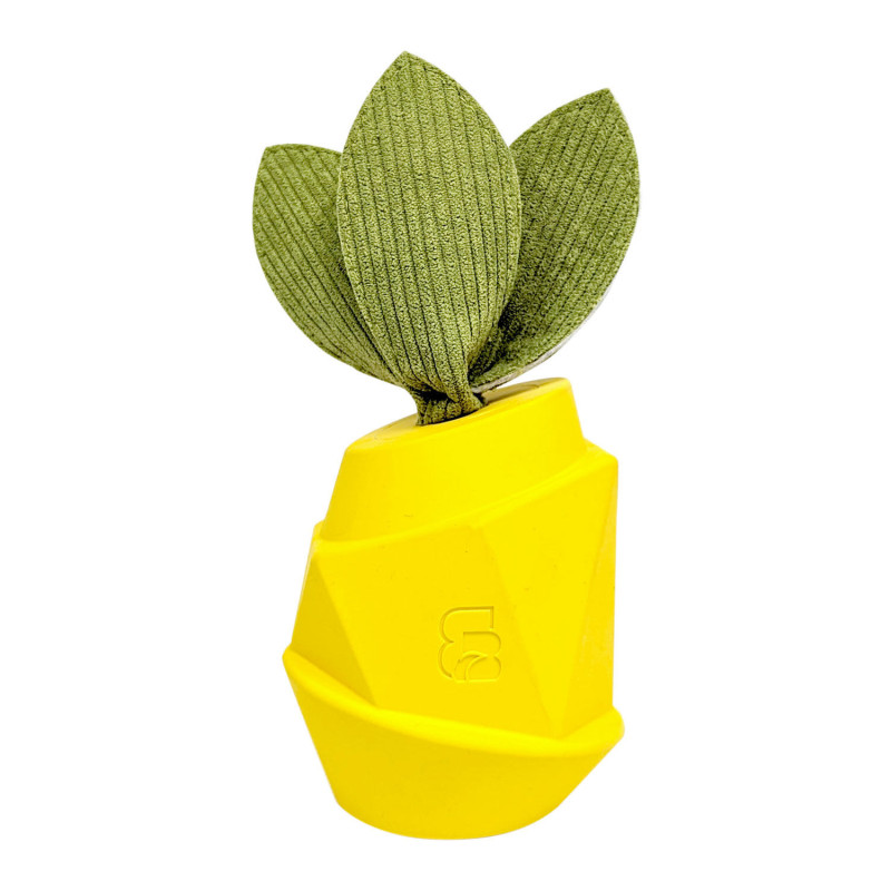 Pineapple scented toy for dogs