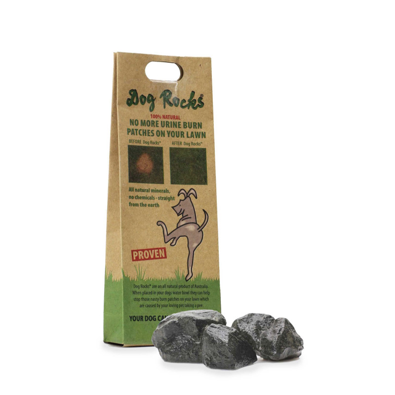 Natural rocks for water bowl