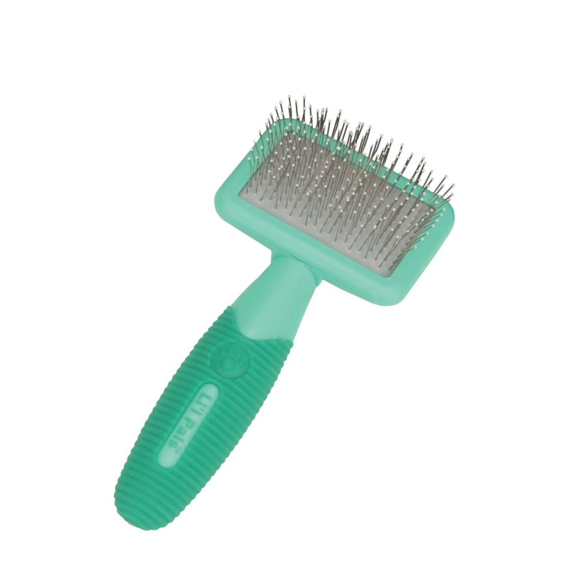 Pin brush for small dogs and…