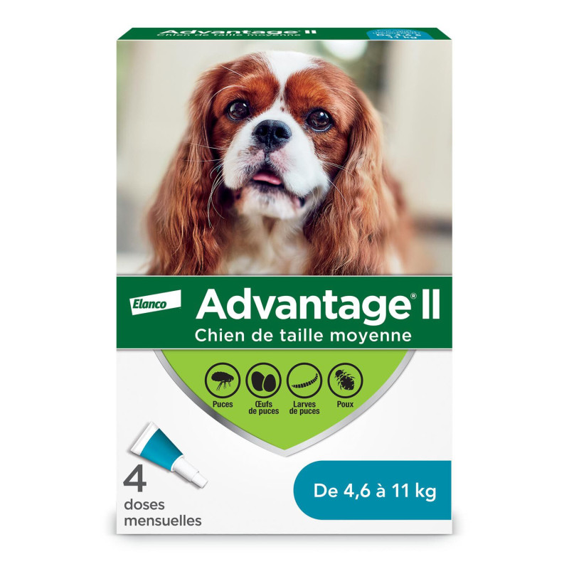 Advantage II Protection topique puces et poux pour ch…