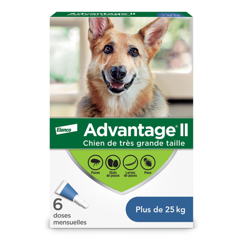 Advantage II Protection topique puces et poux pour ch…