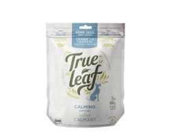 Calming chew treats for dogs