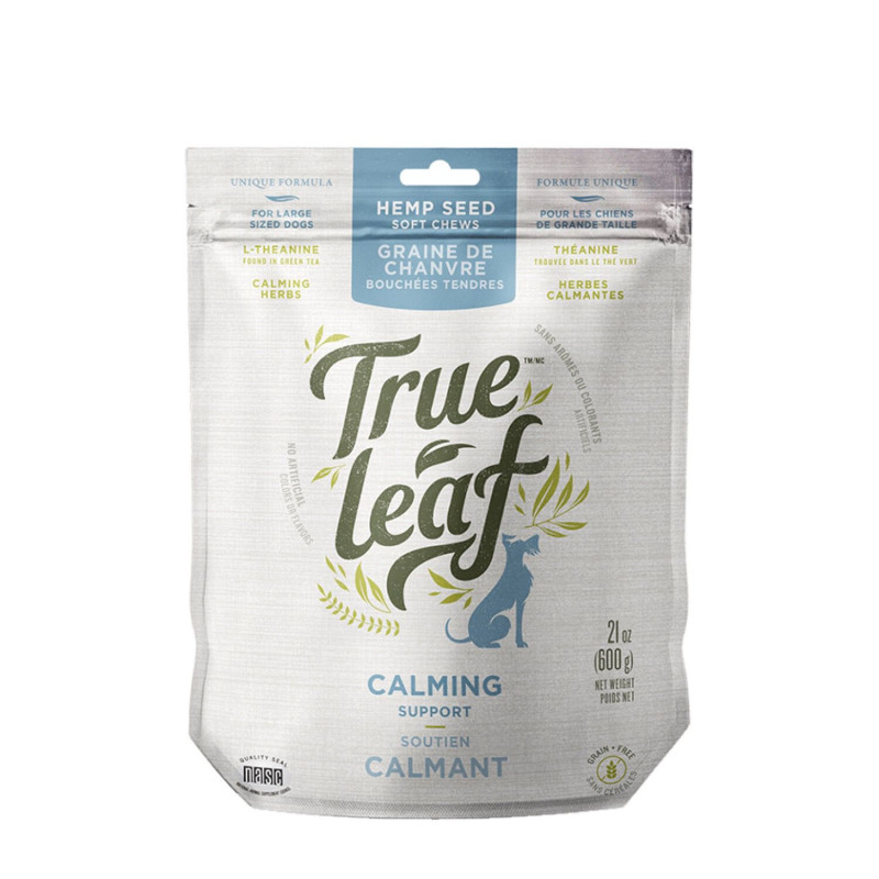 Calming chew treats for dogs