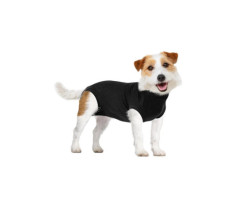 Convalescent clothing for dogs