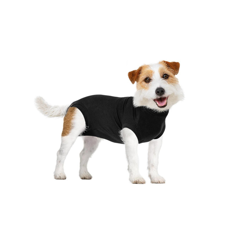 Convalescent clothing for dogs