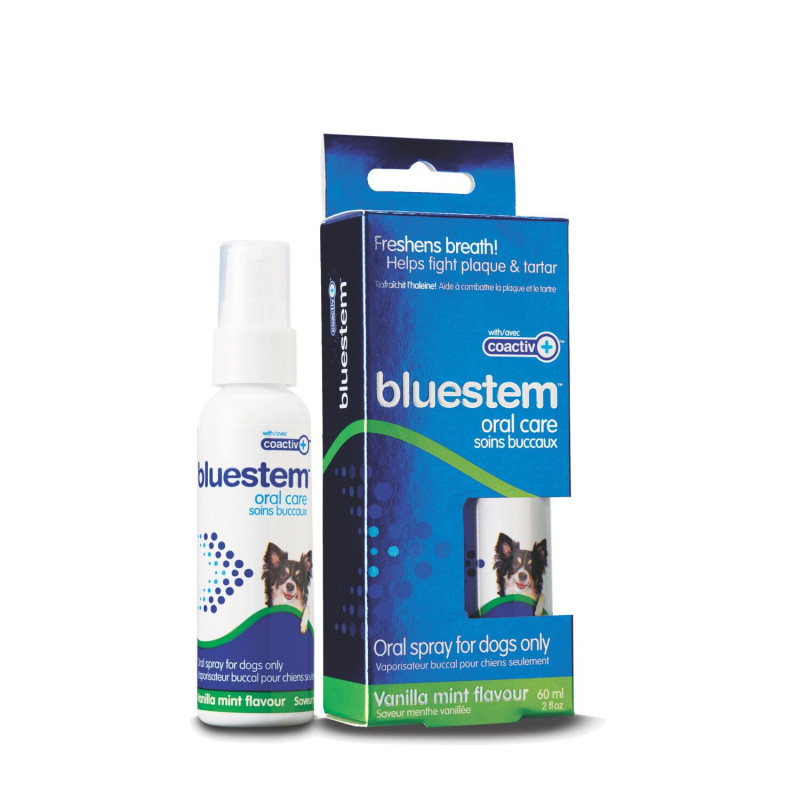 Bluestem Vaporisateur buccal pour chiens, menthe …