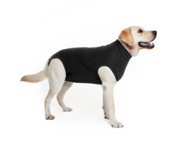 Convalescent clothing for dogs