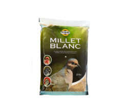 White millet bird food…