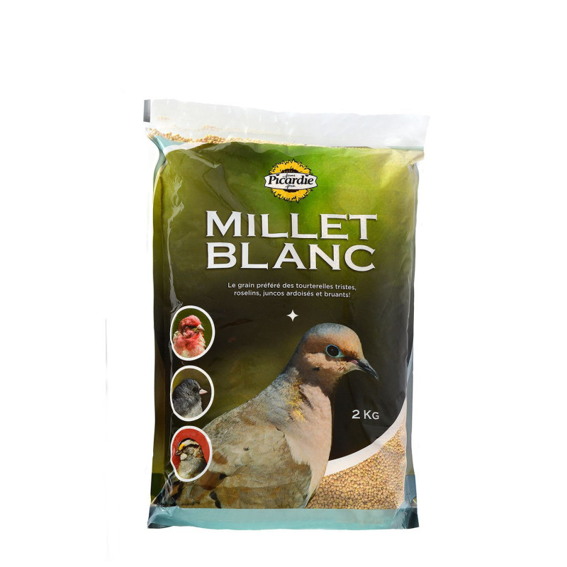 White millet bird food…