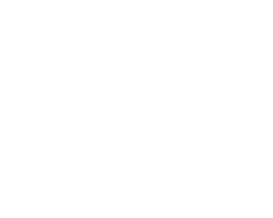 Soutien-gorge contour en dentelle avec armatures - Déesse Collection