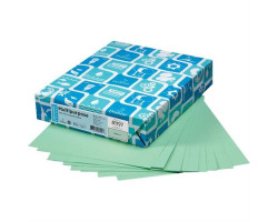 Domtar Papier couverture à usage multiples EarthChoice® Bristol