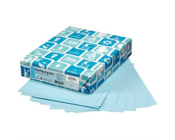 Domtar Papier de couleur à usages multiples Lettermak®