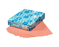 Domtar Papier de couleur à usages multiples Lettermak®