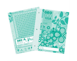 Geo Cahier GeoEco