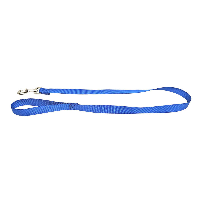 Nylon leash for dogs