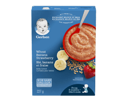GERBER Céréales pour bébés dès 6 mois +, blé fraise et banane, 227 g
