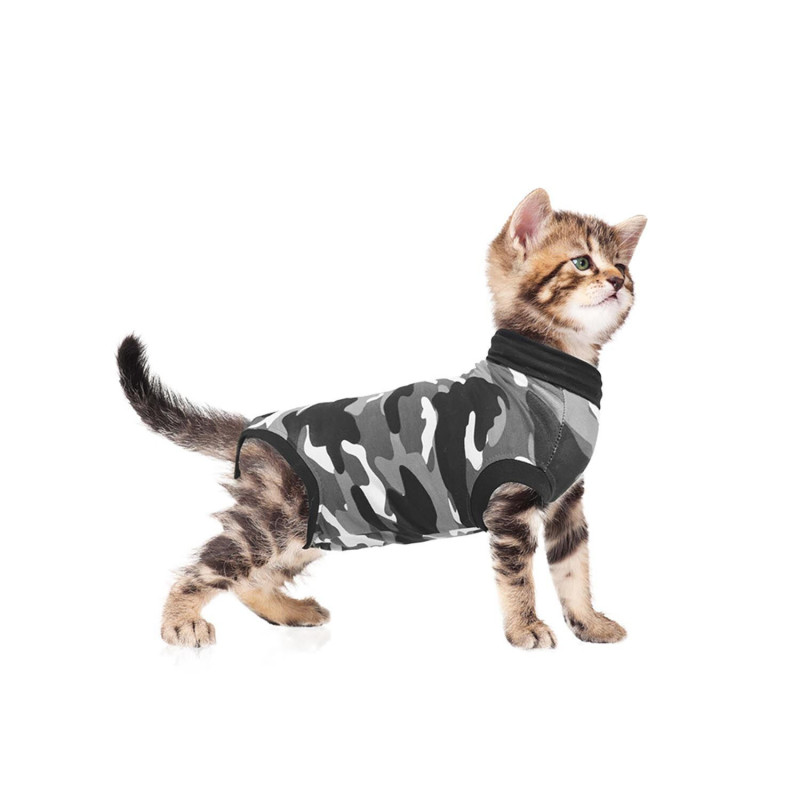 Convalescent clothing for cats