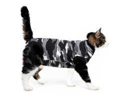 Convalescent clothing for cats