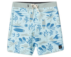 Hyperfreak Mysto 19" swim shorts - Men's