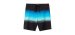 Hyperfreak Heat Stripe Line 16" Swim Shorts - Boy