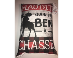 Coussin  maudit qu'on est...