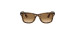 Ease Wayfarer Non-Polarized Sunglasses - Unisex