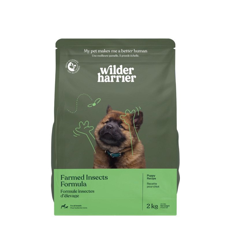 Dry food for puppies, insects…